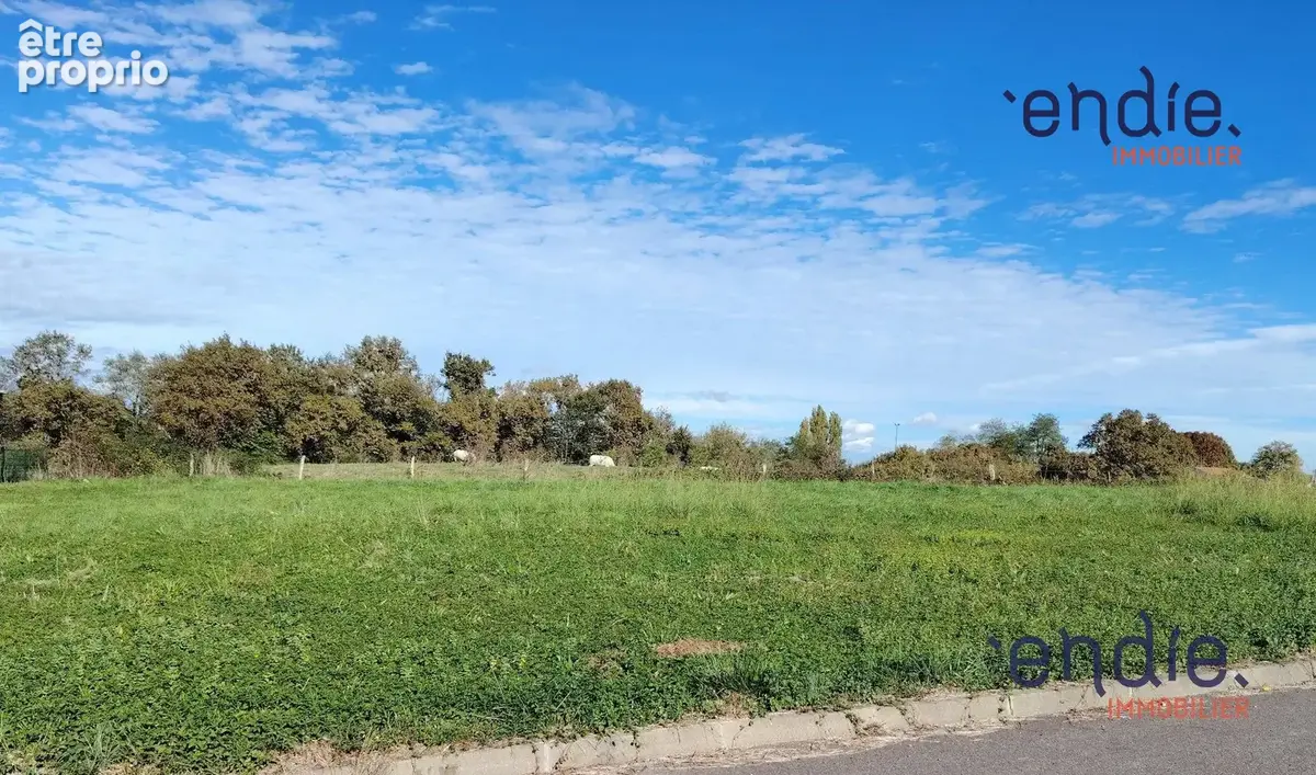 Terrain 1 126 m² à vendre à Poudenx (40700) - photo 5