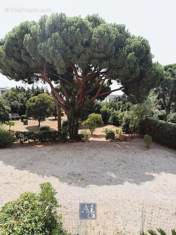 Cannes Basse Californie  Appartement 4 pièces - photo 5