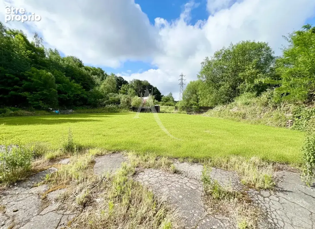 Investissement ensemble immobilier de 1,16 hectare avec 52 ares constructibles et hall d'activités de 500 m² - photo 2