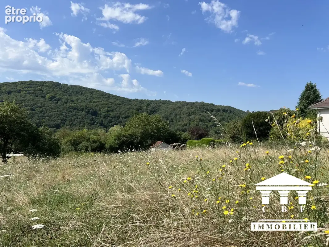 Terrain 1 330 m² à vendre à Saint-Sernin-Du-Bois (71200) - photo 4