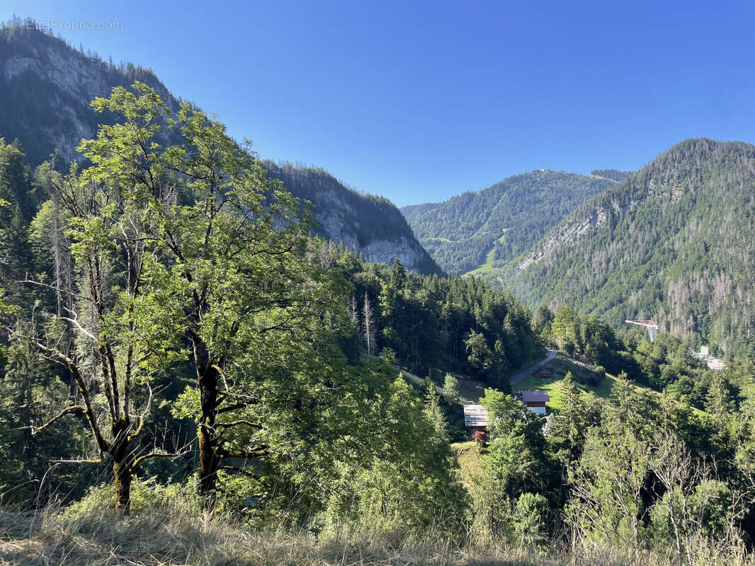Terrain à SAINT-JEAN-DE-SIXT