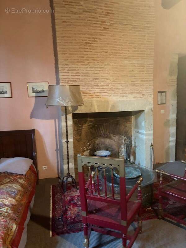MARCIAC(32): ancienne SEIGNEURIE avec BEAU CHATEAU XIV sur 3,5ha, cachée, au bout du chemin, sans voisin, en campagne, 500m2 hab - photo 74