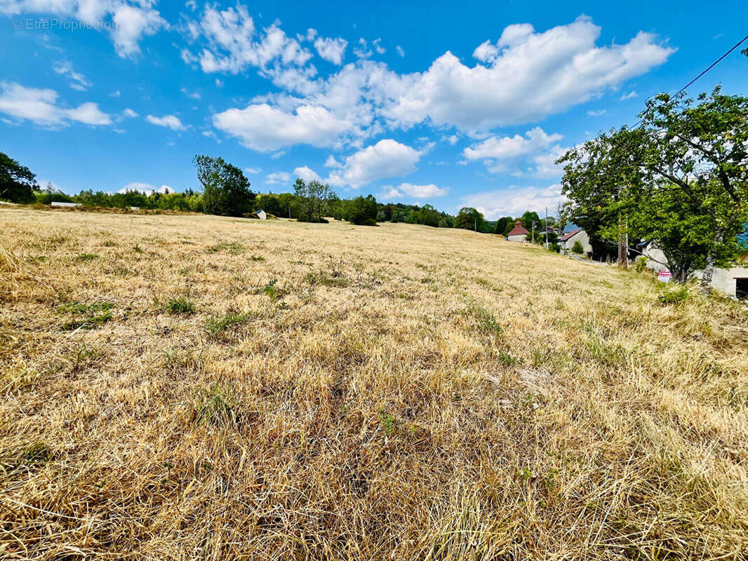 Terrain Foncine Le Haut 1600 m2 - photo 4