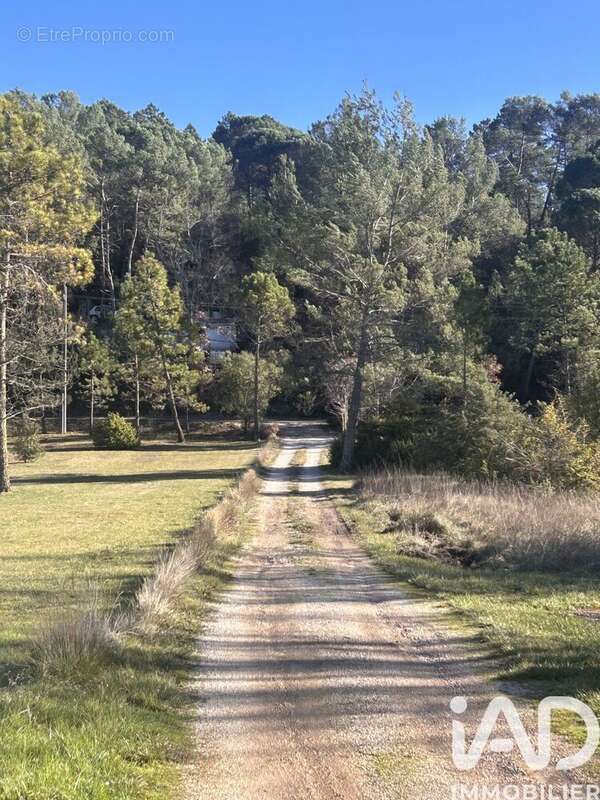 Photo 5 - Maison à BRAS