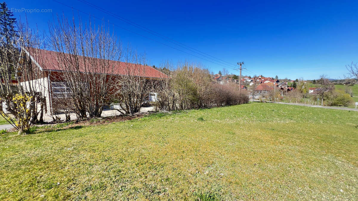 Terrain à LES GRANGETTES