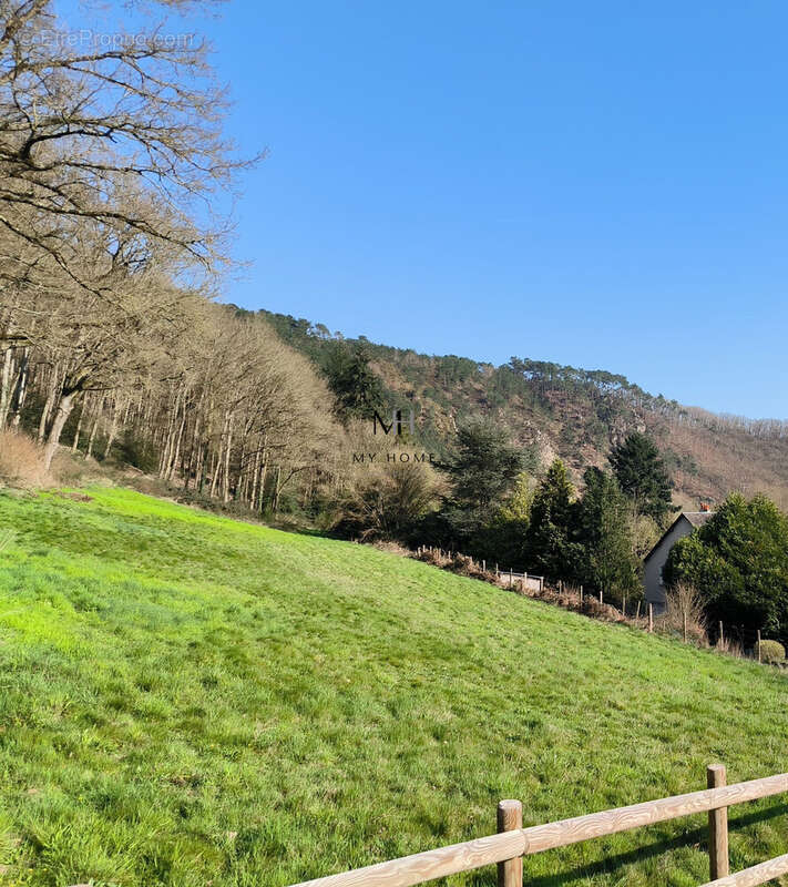 Maison à SAINT-LEONARD-DES-BOIS