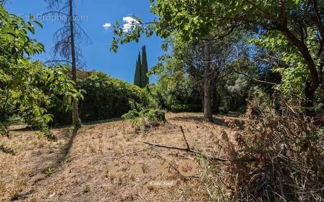 Aix en provence - proche set club - terrain viabilise clôture - 833m2 - maison r+1 -200m2 - piscine - pool house existants- 5800 - photo 2