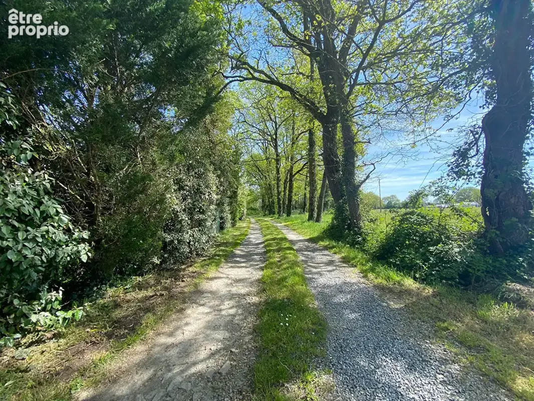 Longère en pierre - Calme et nature . 5 chambres sur un terrain de  3615 m² à Grandchamp-des-Fontaines - photo 10