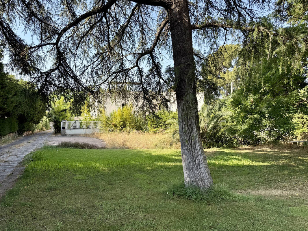 Terrain à TOULON