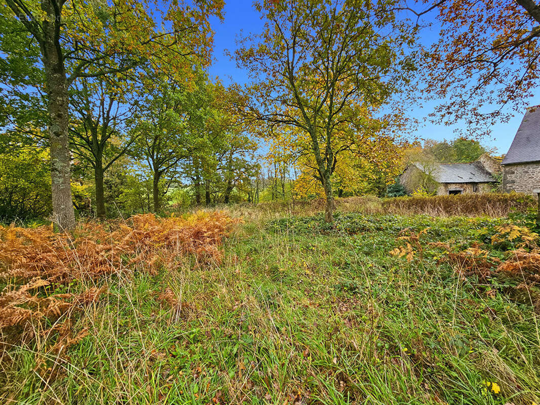 Maison à SENS-DE-BRETAGNE