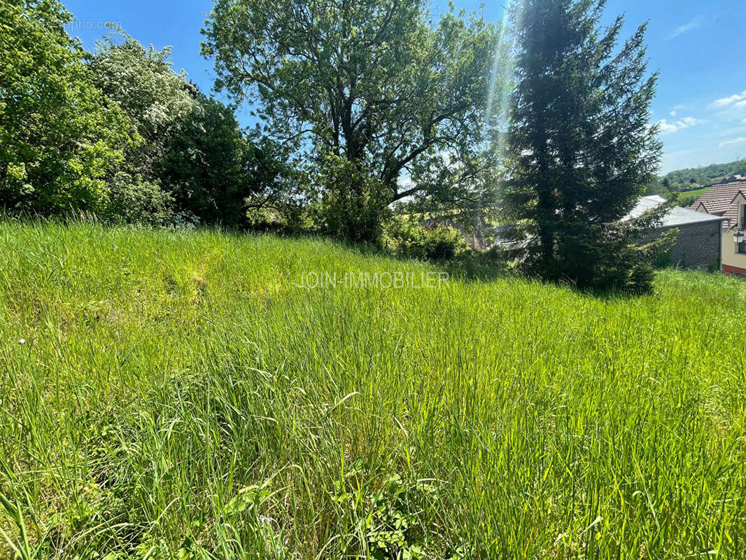 Terrain à BACQUEVILLE-EN-CAUX