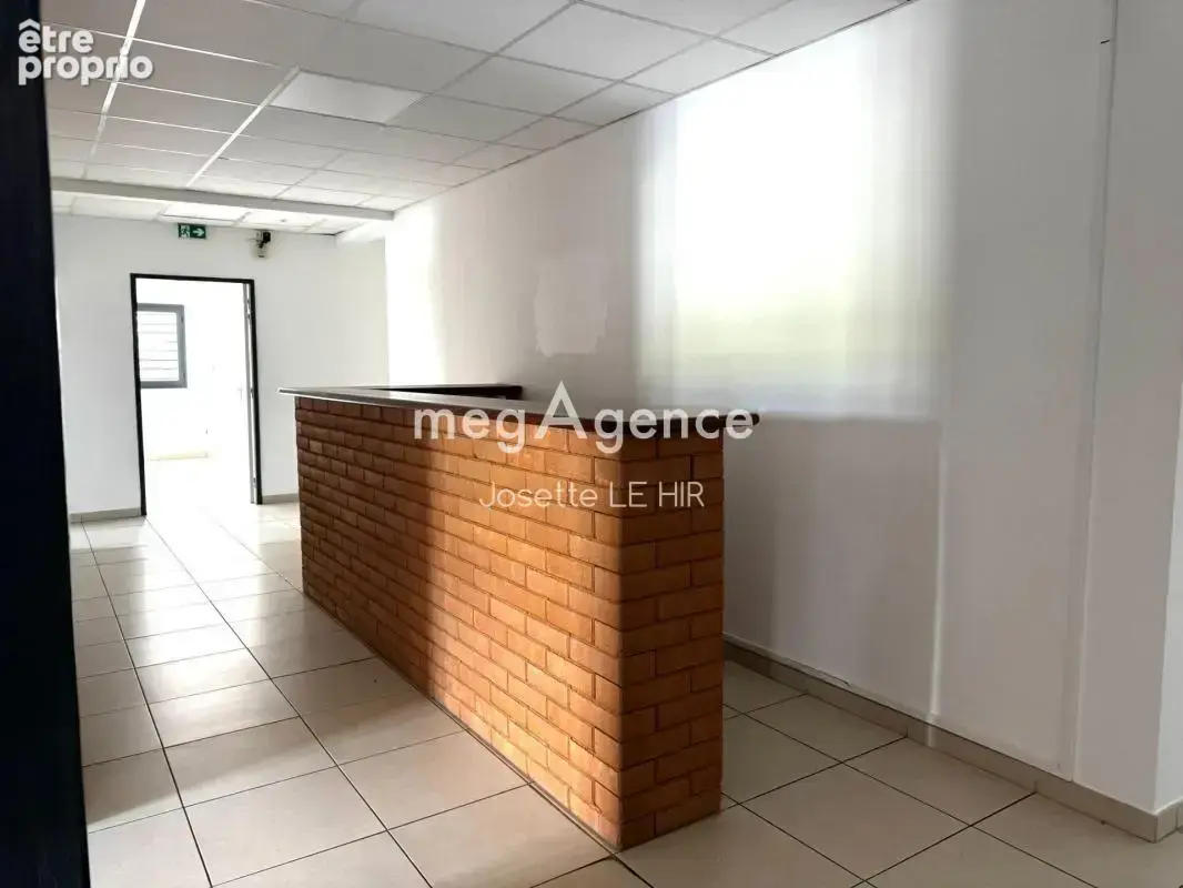 Immeuble a usage commercial et professionnel ZI COLLERY - photo 8