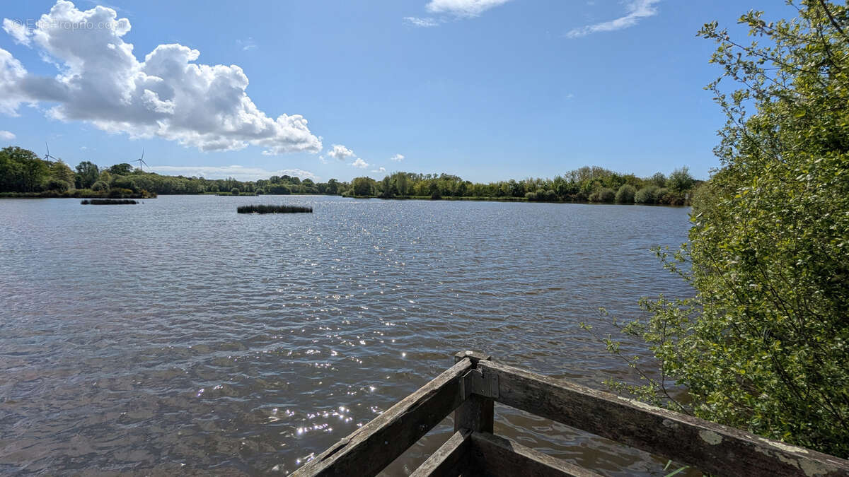 Terrain à SAINT-PERE-EN-RETZ