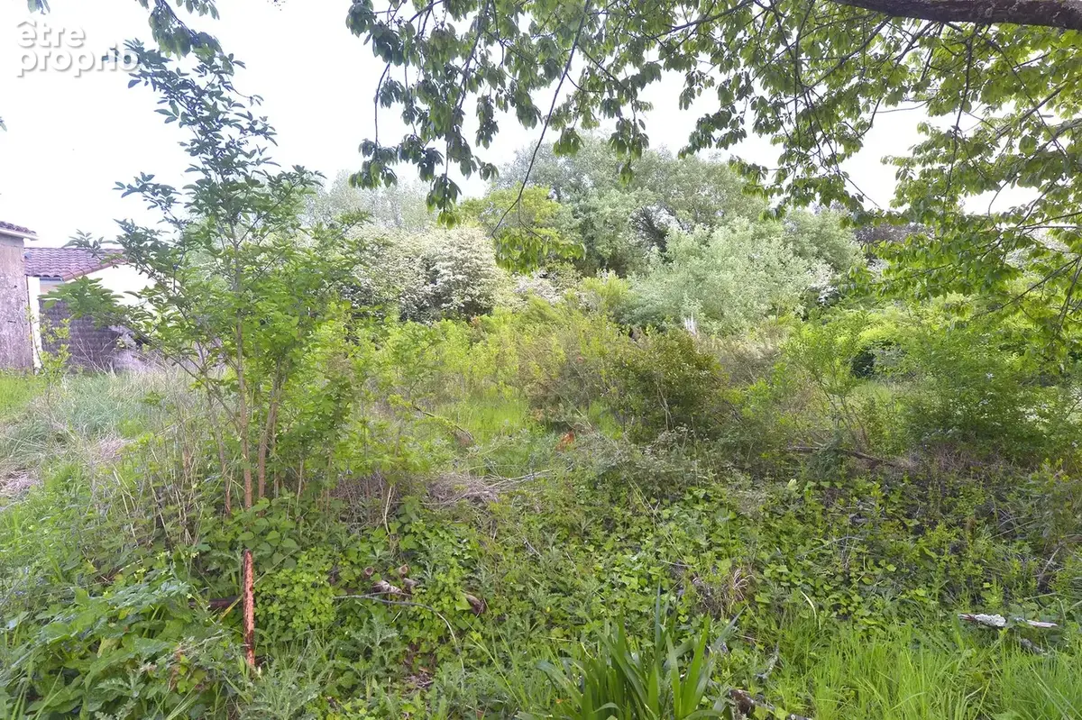 Maison 4 pièces 80 m² à vendre à Saint-Georges-De-Didonne (17110) - photo 2