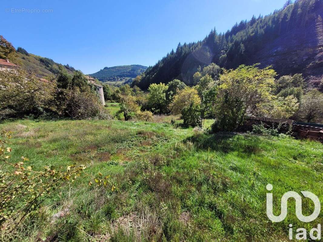 Photo 6 - Maison à LACHAPELLE-SOUS-CHANEAC
