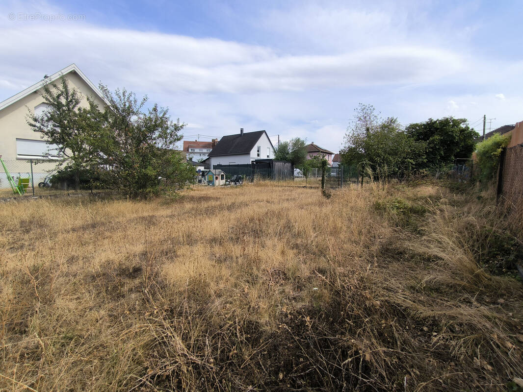 Terrain à KINGERSHEIM