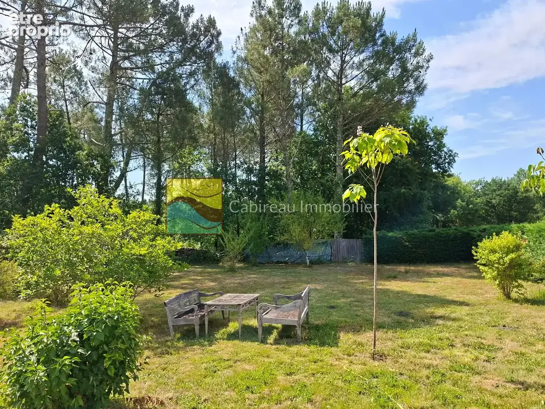 Maison 118 m2 - terrain 8640 m2 - photo 4