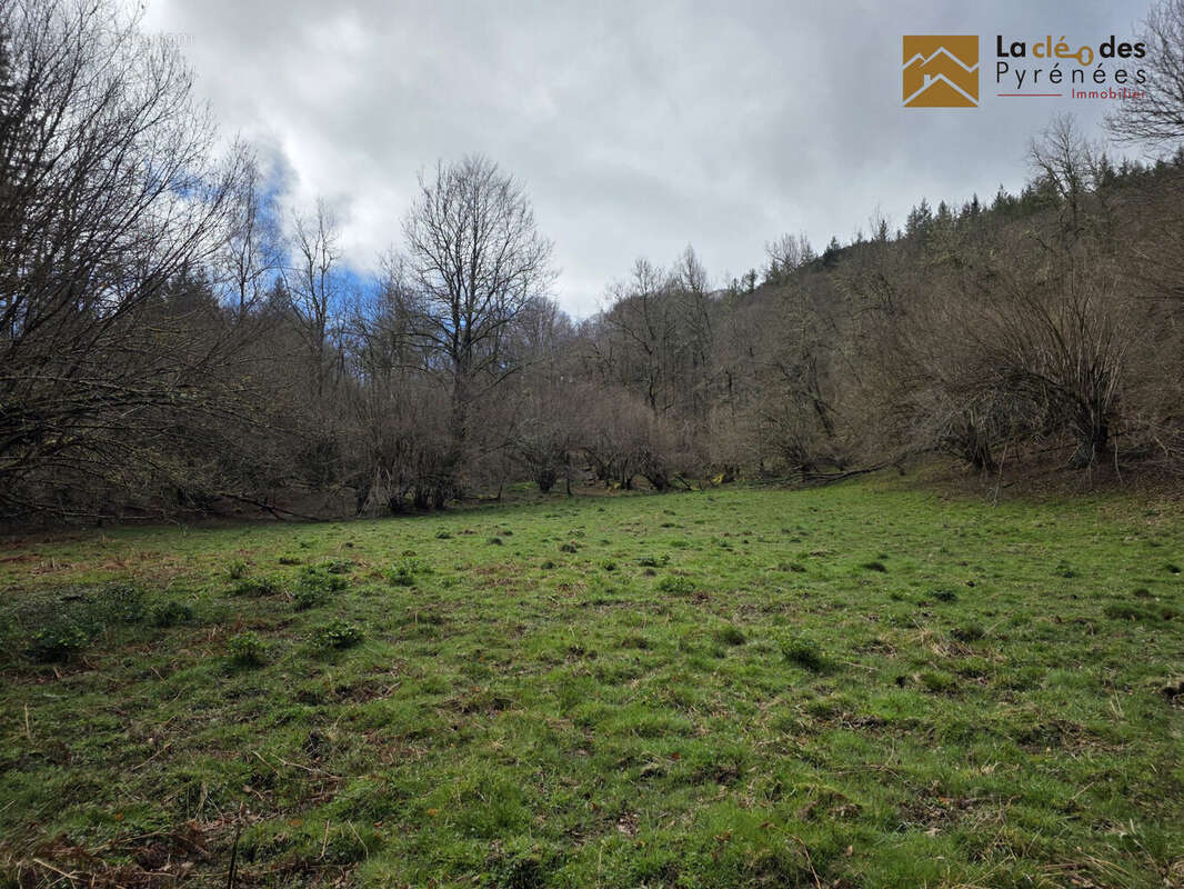 Terrain à ARRAS-EN-LAVEDAN
