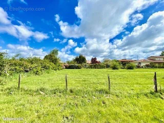 Terrain à PLAISANCE-DU-TOUCH