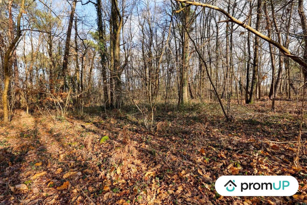 Terrain à CHATILLON-SUR-CHER