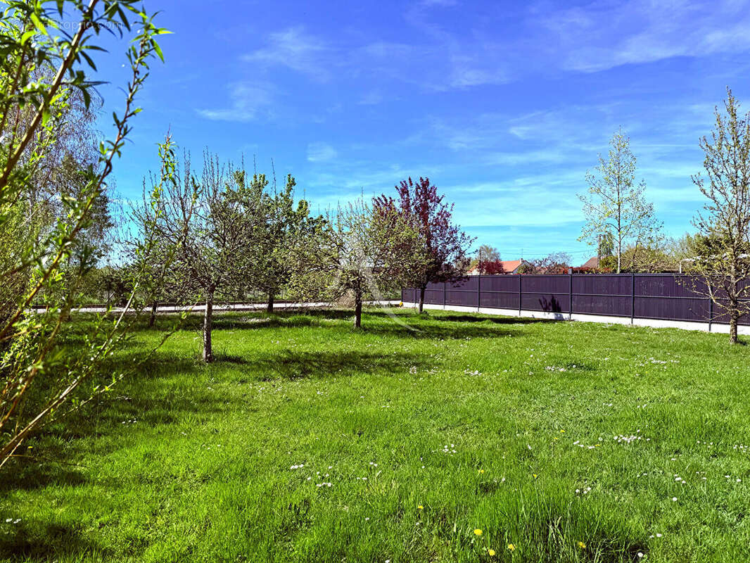 Terrain à SAINT-DENIS-EN-VAL