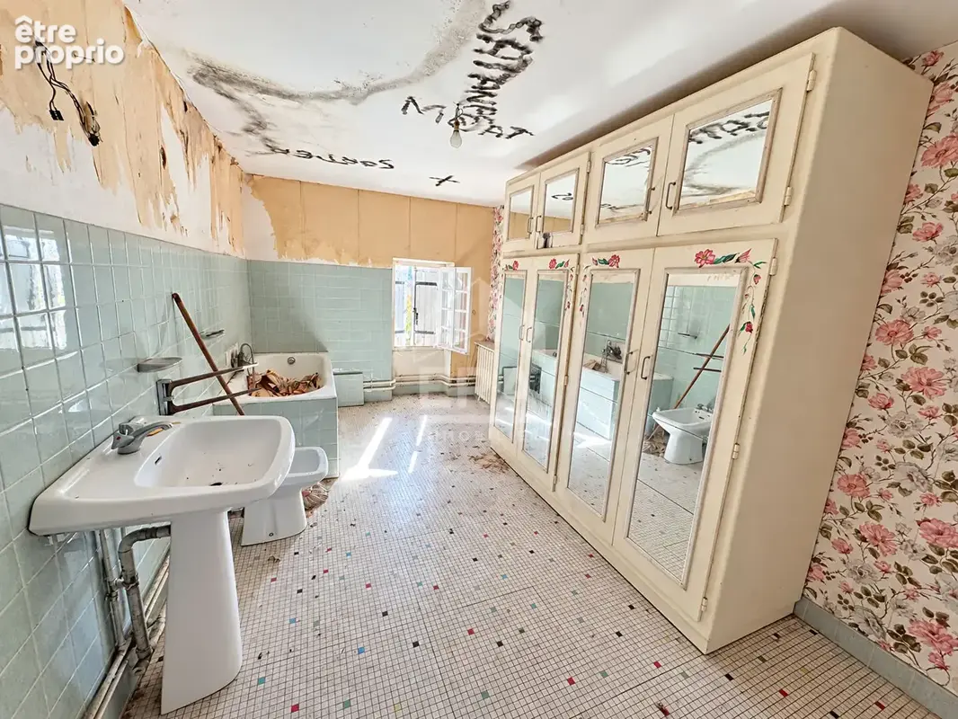 Maison à vendre - 6 pièces, 236 m² sur 2700 m² de terrain - photo 7