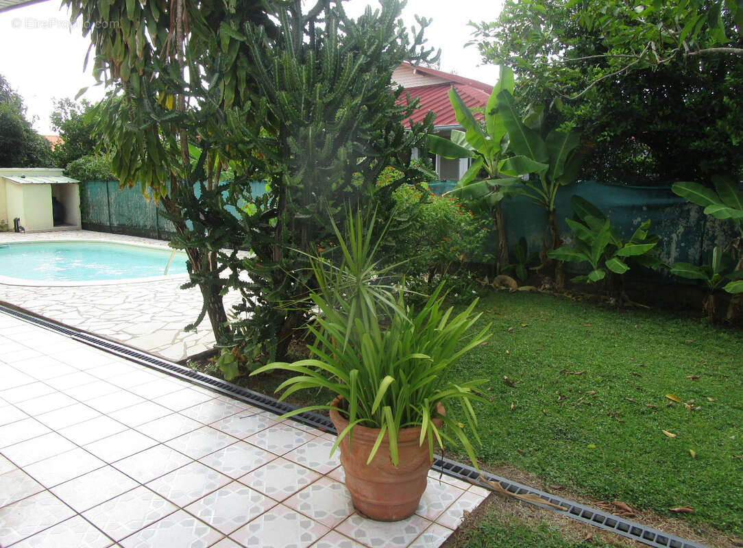 Maison à KOUROU