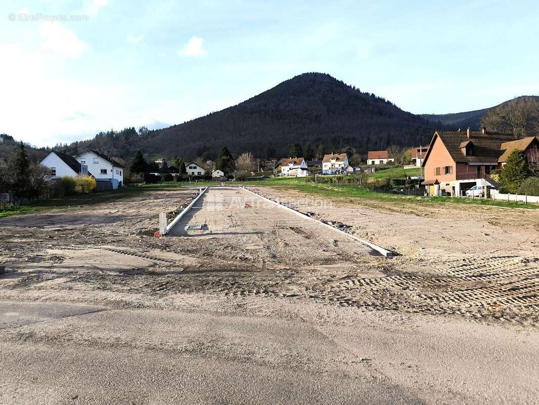 Terrain à LIEPVRE