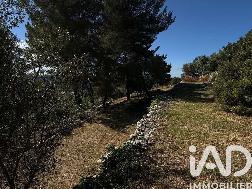 Photo 2 - Terrain à CARROS