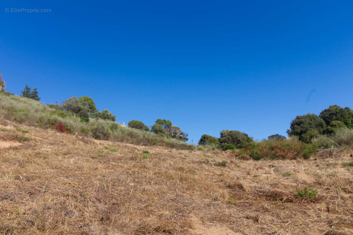 Terrain à PROPRIANO