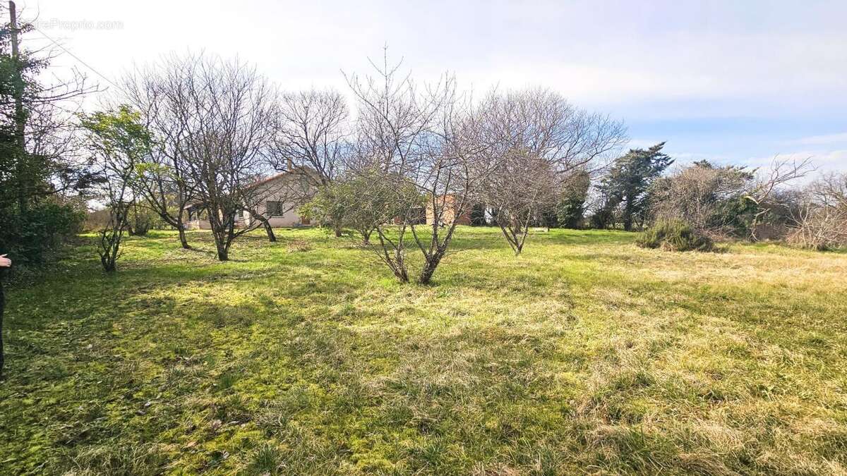 Maison à MONTPEZAT-DE-QUERCY