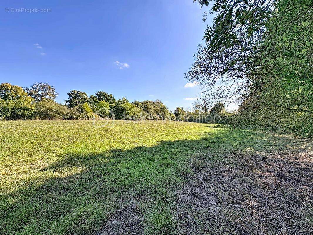 Terrain à CANTELOUP