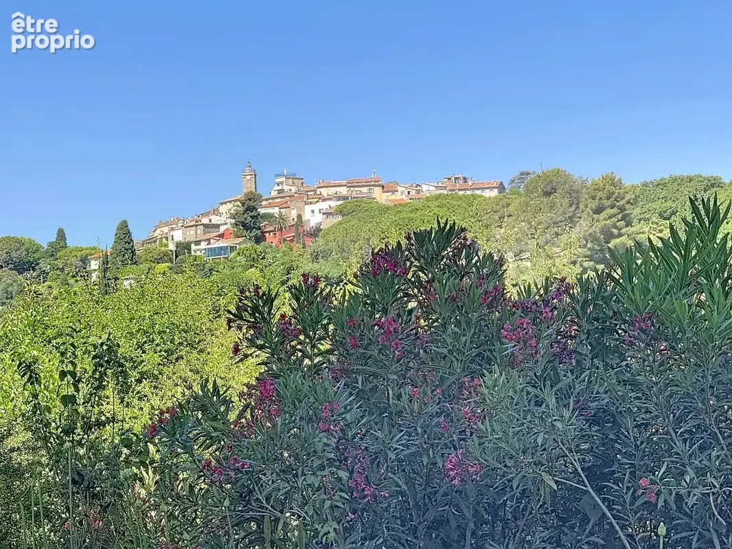 Mougins – Vue imprenable sur le vieux village – Villa 235 m² sur 3 500 m² de terrain plat, piscine et dépendance - photo 10