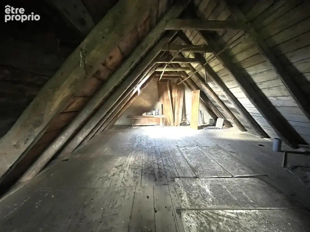 Entre besse et super-besse propriete en pierre avec grange, ecurie et source sur 12594m2 de terrain - photo 14