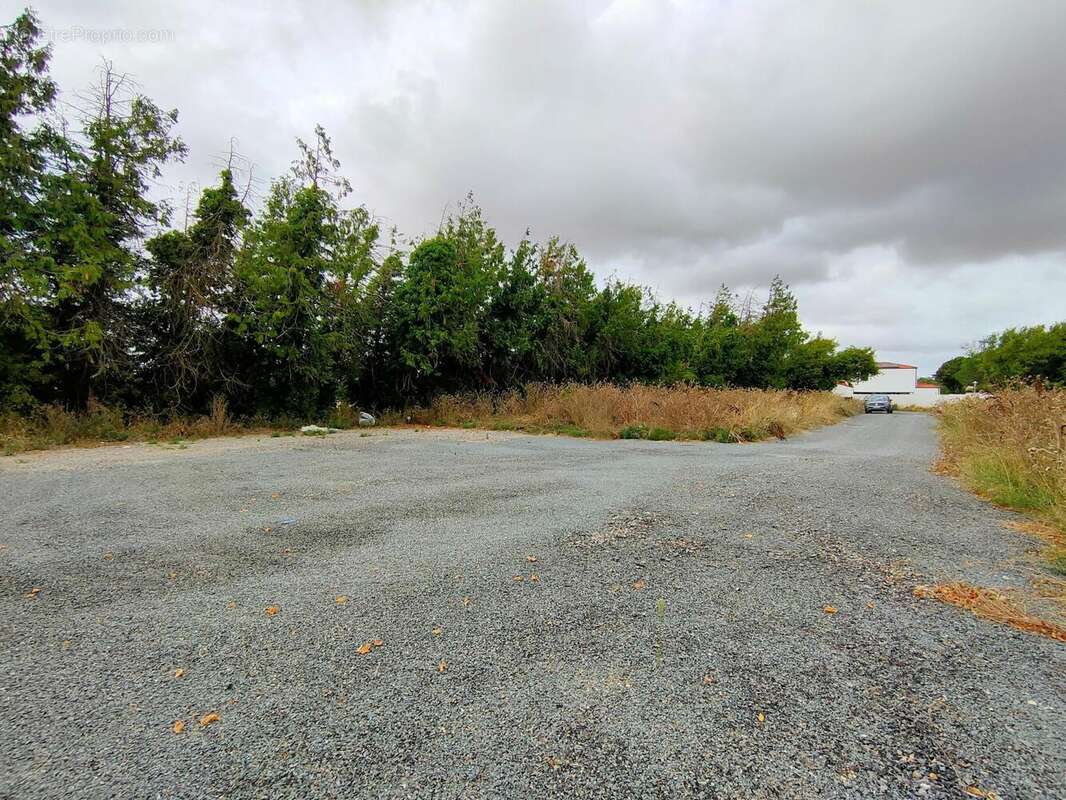 Photo 2 - Terrain à CLAVETTE