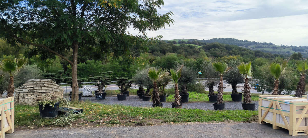 Appartement à AUZITS