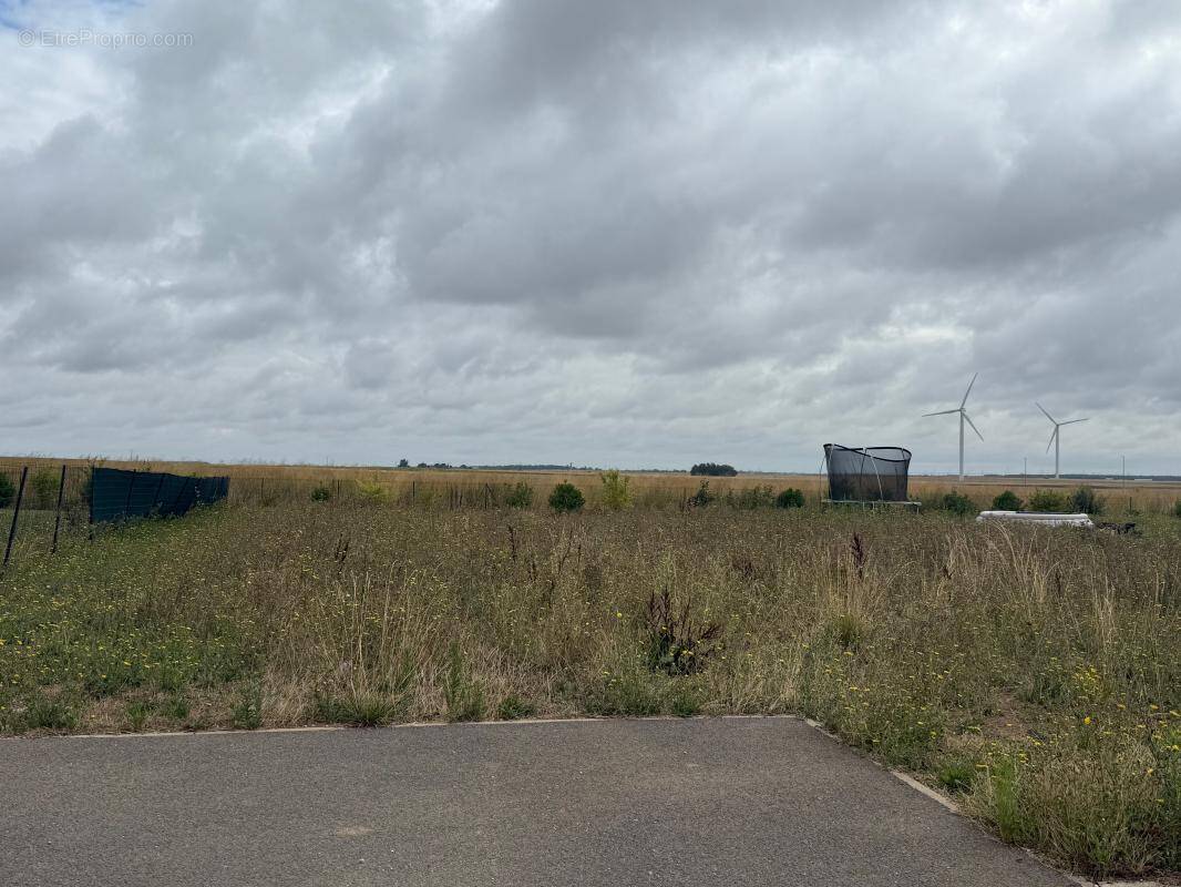 Terrain à TERMINIERS