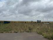 Terrain à TERMINIERS