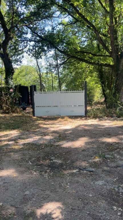 Étang 8200 m2 laizy - photo 12