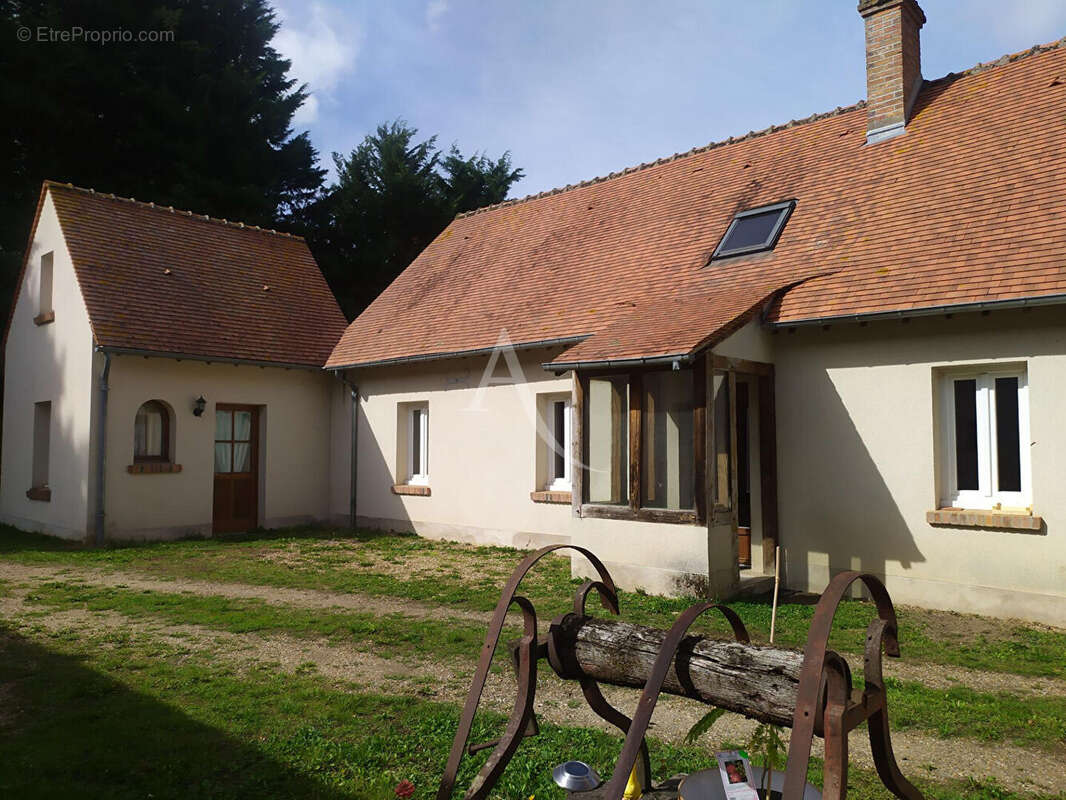 Maison à VIENNE-EN-VAL