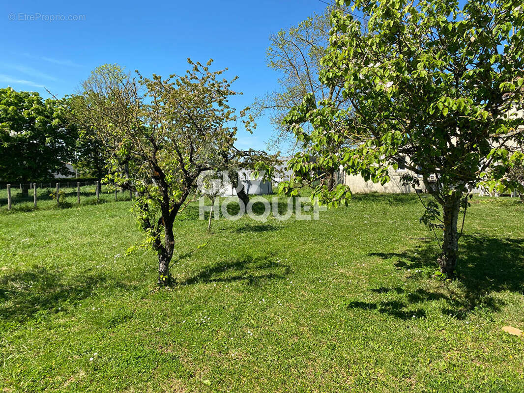 Maison à FONTENAY-LE-COMTE