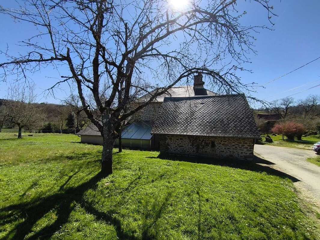 Maison 142 m² à Seilhac  - photo 768