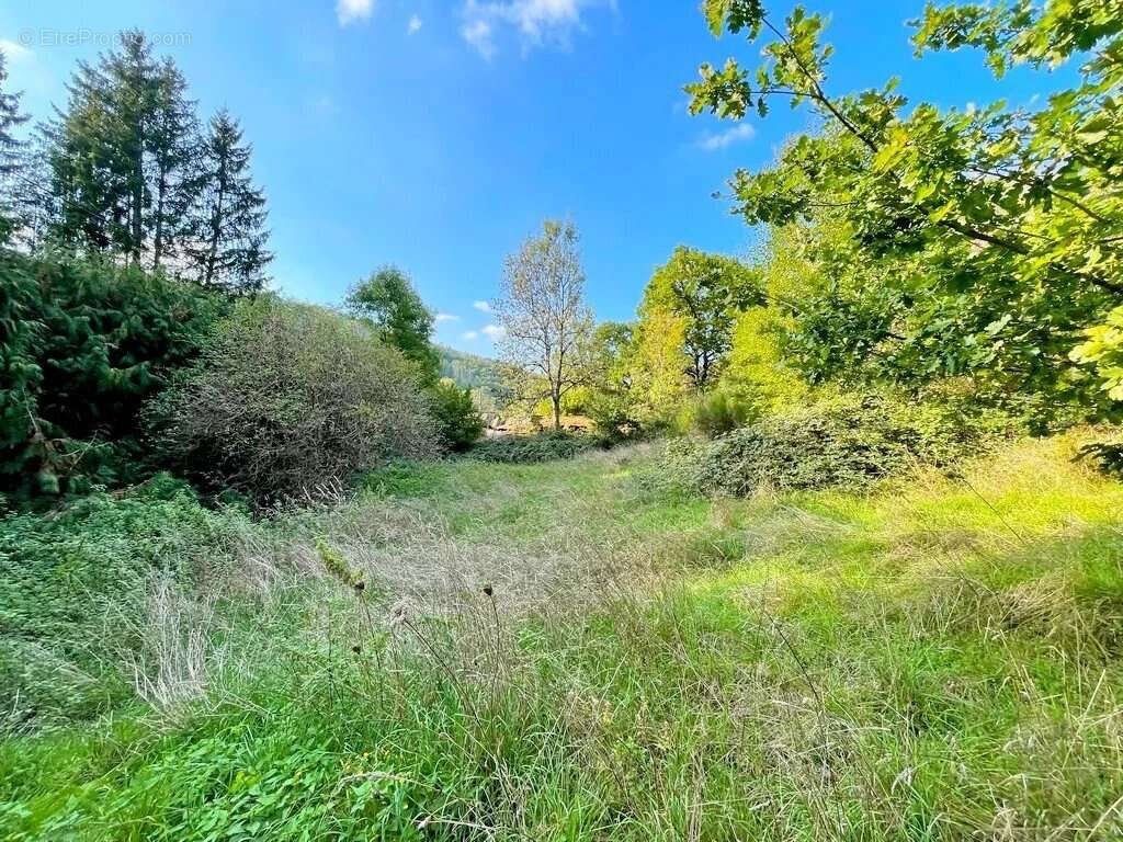 Maison à MOUX-EN-MORVAN
