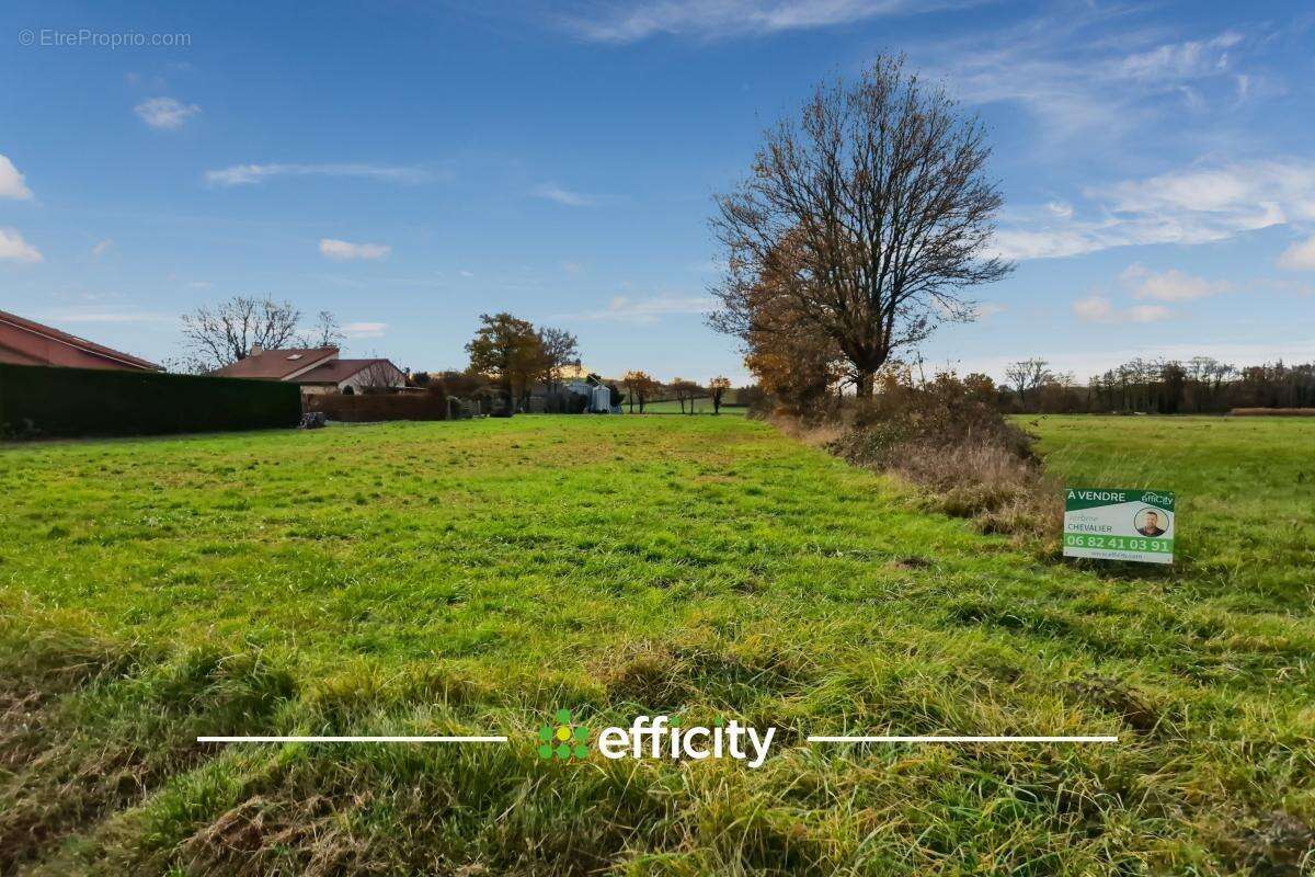 Terrain à SAINT-REMY-DE-CHARGNAT