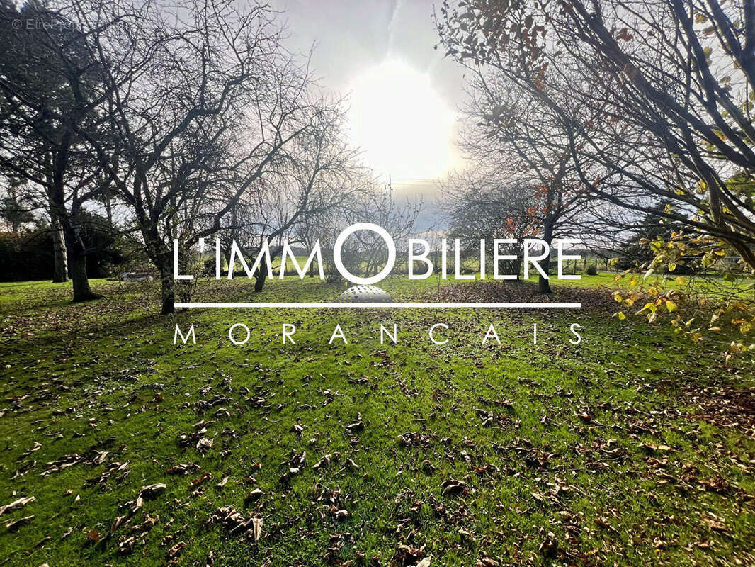 Terrain à ISNEAUVILLE