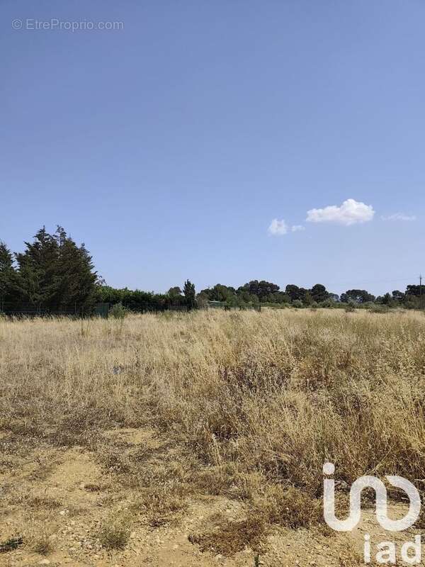 Photo 3 - Terrain à ROUBIA