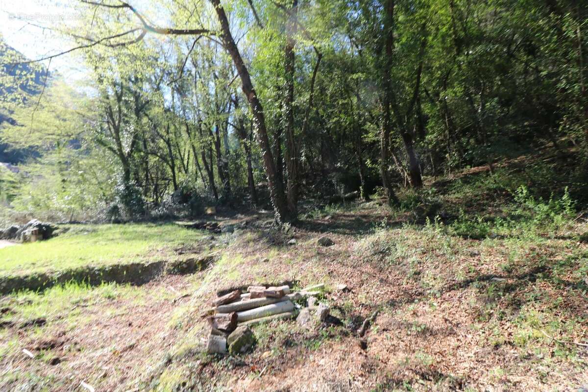 Maison à TOURRETTE-LEVENS