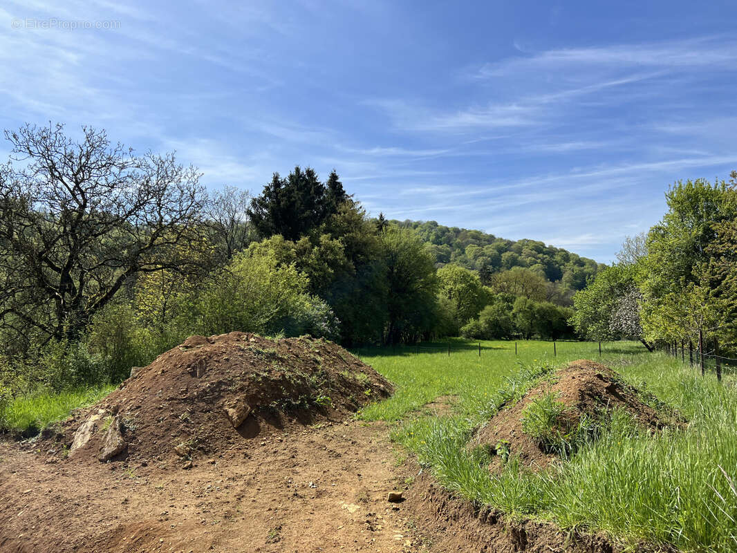 Terrain à VIVIERS-SUR-CHIERS