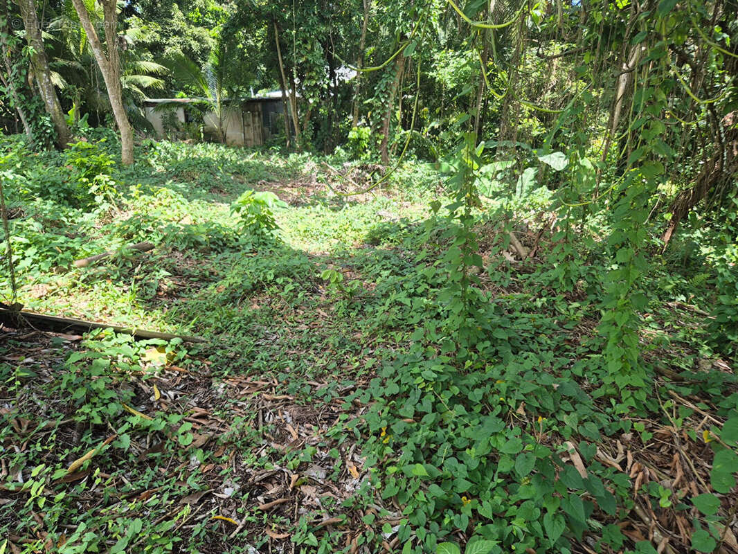 Terrain à LE LAMENTIN