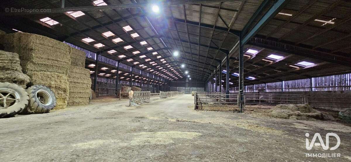 Photo 3 - Commerce à BEAUFOU